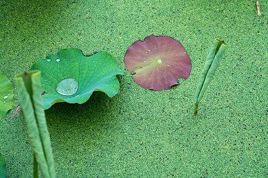 中国特供！RX 7900 GRE欧洲大降价 比国内还便宜